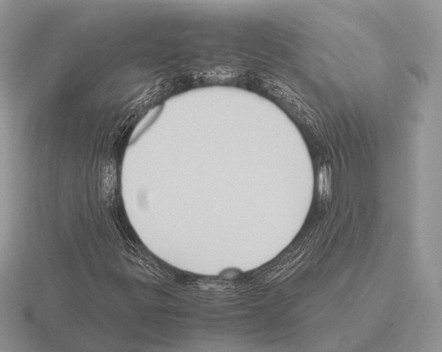 X0000115391299200912151451