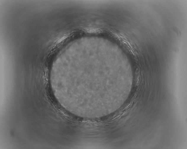 X0000115391301200912151451