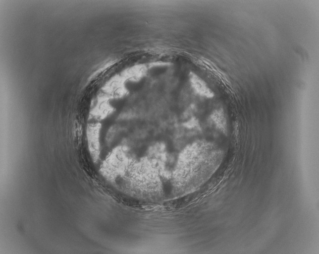 X0000115391302200912151452