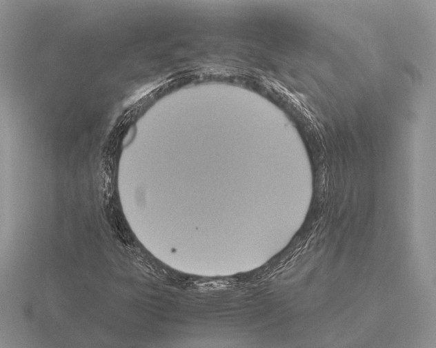 X0000115391303200912151452