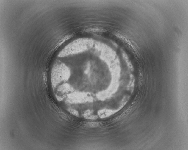 X0000115391305200912151452