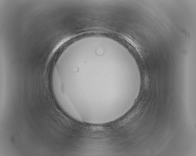 X0000115391310200912151452