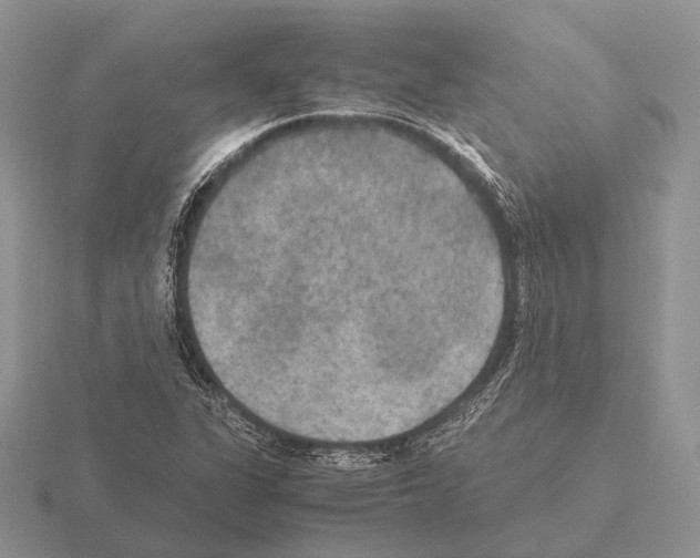 X0000115391311200912151452