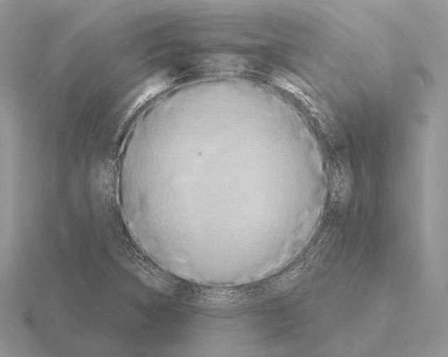 X0000115391314200912151452