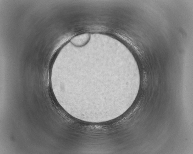 X0000115391317200912151452