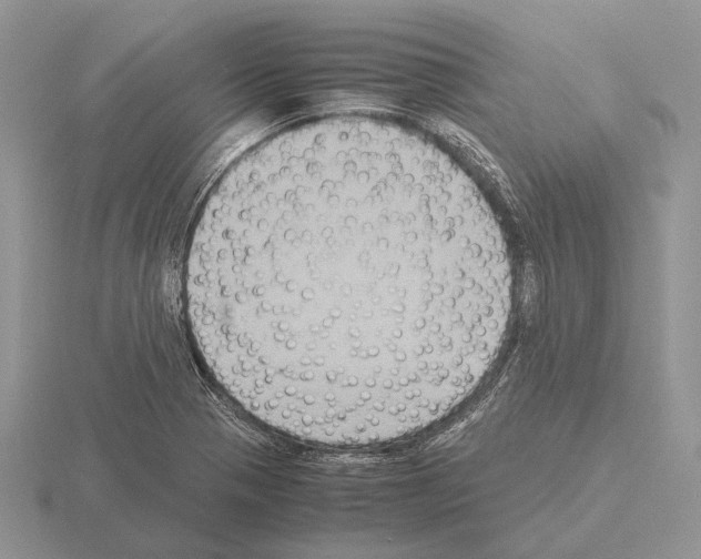 X0000115391321200912151452