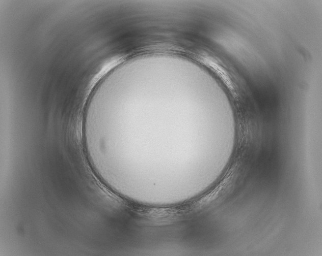 X0000115391322200912151452