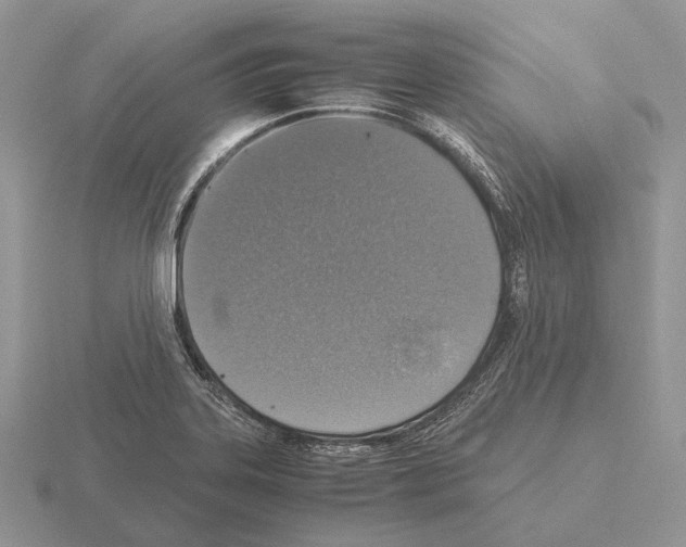 X0000115391323200912151452