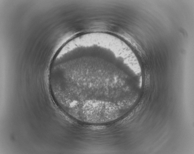 X0000115391325200912151452