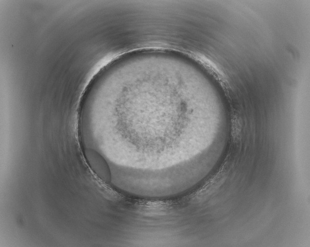 X0000115391326200912151452