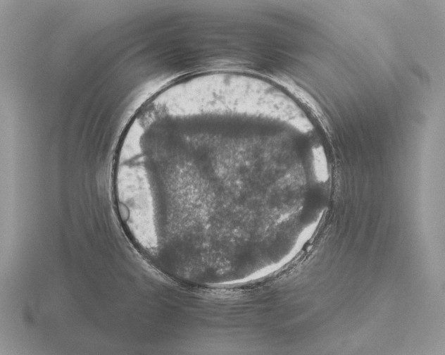 X0000115391333200912151452