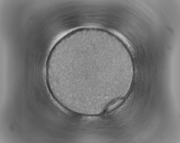 X0000115391335200912151452