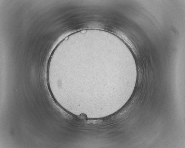 X0000115391339200912151452