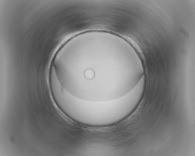 X0000115391342200912151452