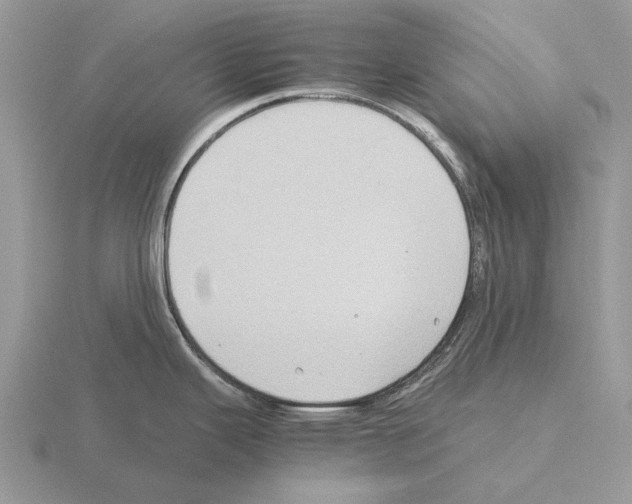 X0000115391343200912151452