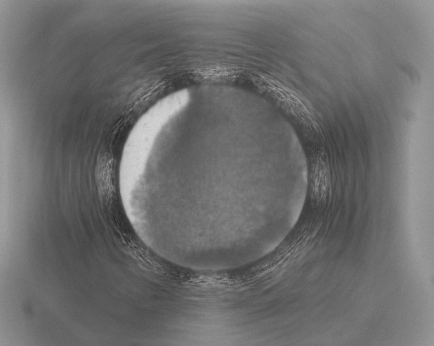 X0000115391346200912151451