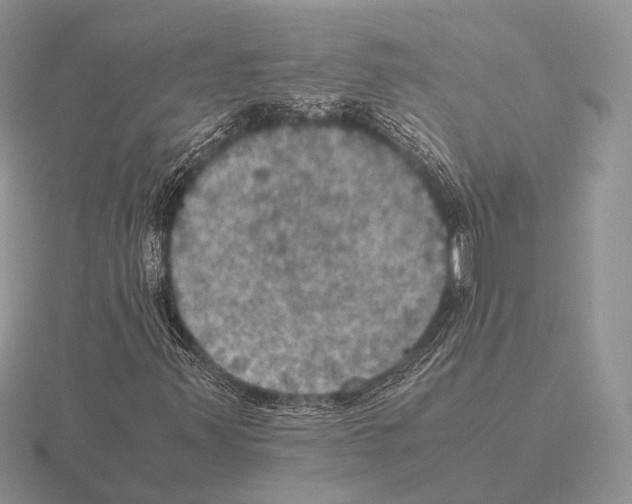 X0000115391347200912151451