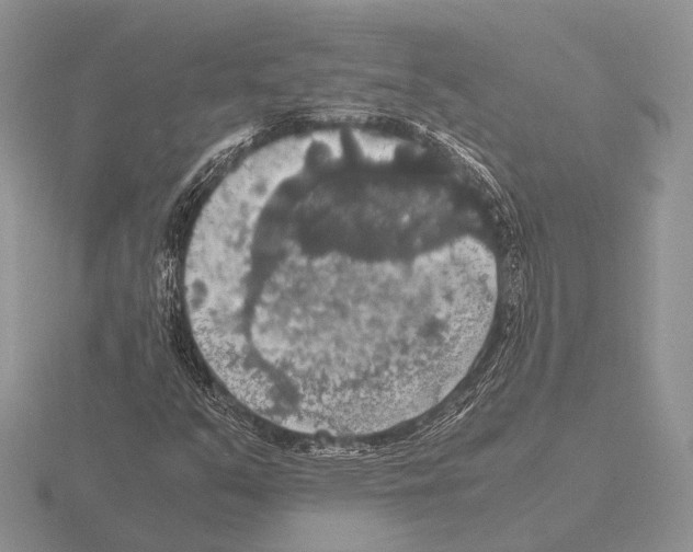 X0000115391351200912151451