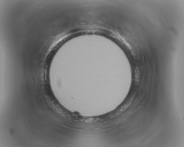 X0000115391352200912151451