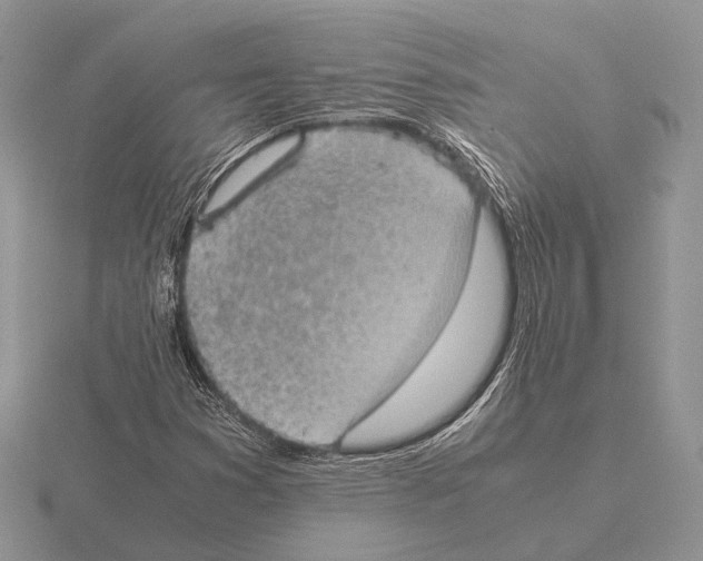 X0000115391353200912151451