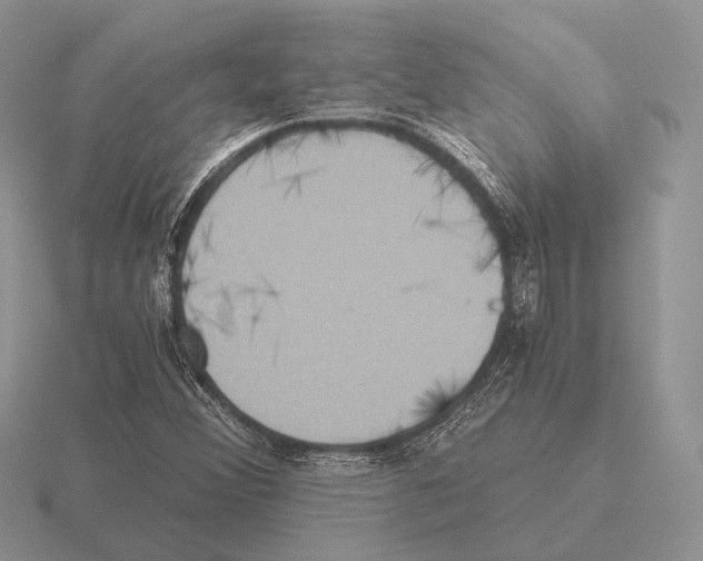 X0000115391356200912151451