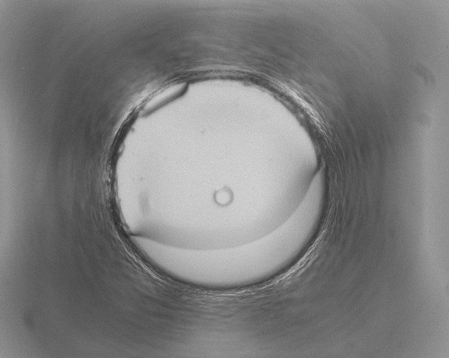 X0000115391357200912151451