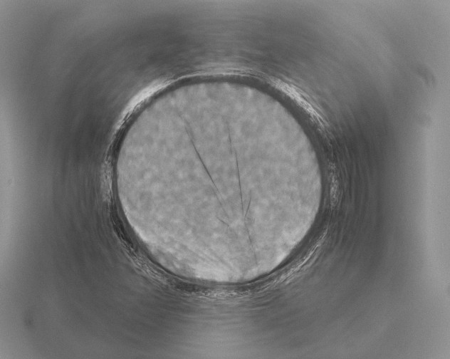 X0000115391358200912151451