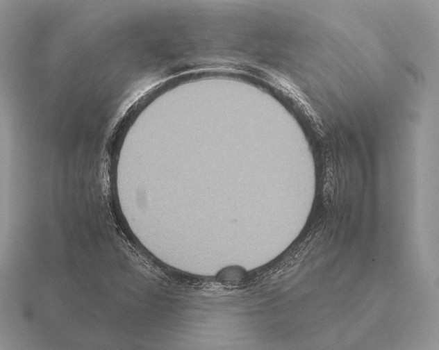 X0000115391360200912151451