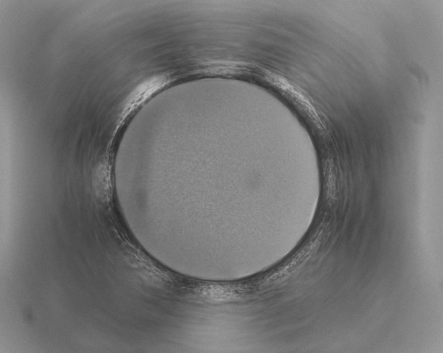 X0000115391362200912151451