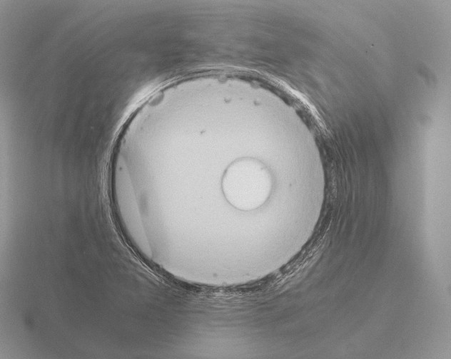 X0000115391365200912151451