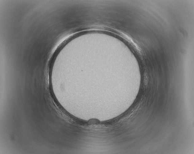 X0000115391368200912151451