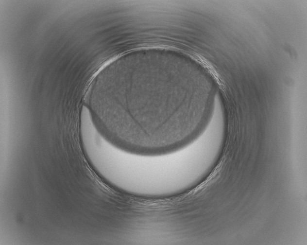 X0000115391369200912151451