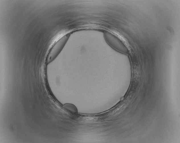 X0000115391373200912151451