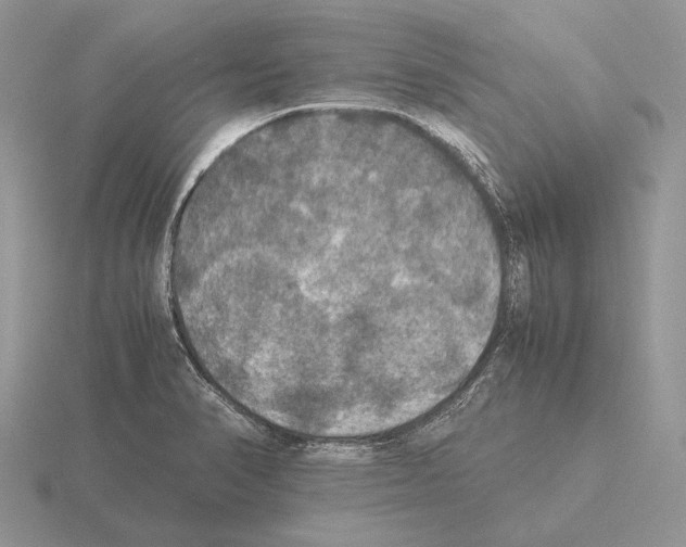 X0000115391374200912151451