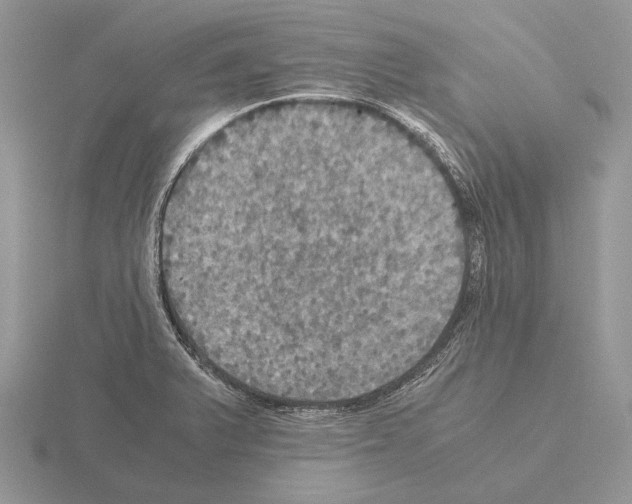 X0000115391375200912151451