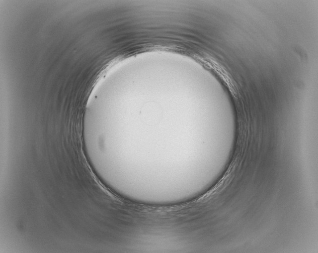 X0000115391377200912151451