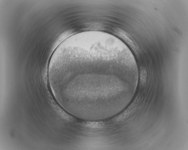 X0000115391378200912151451