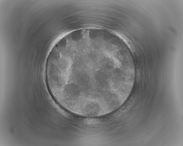 X0000115391379200912151451