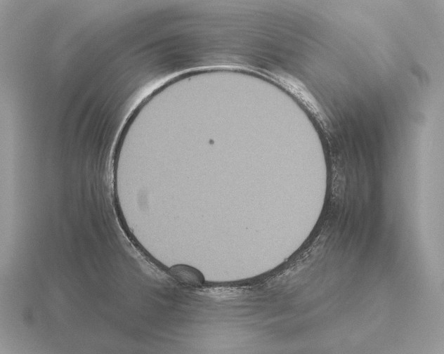 X0000115391380200912151451