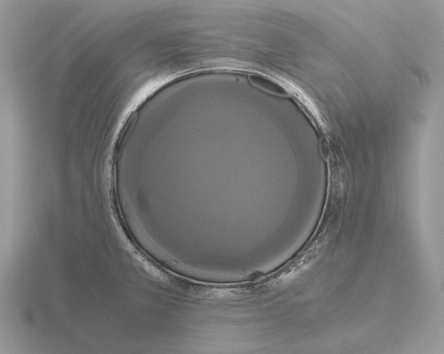 X0000115391381200912151451