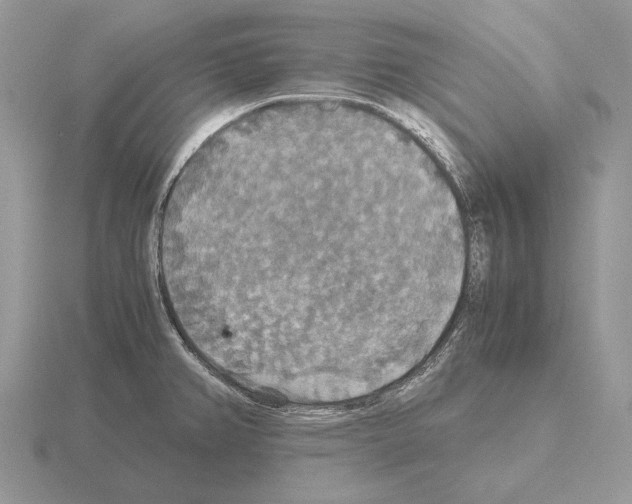 X0000115391382200912151451