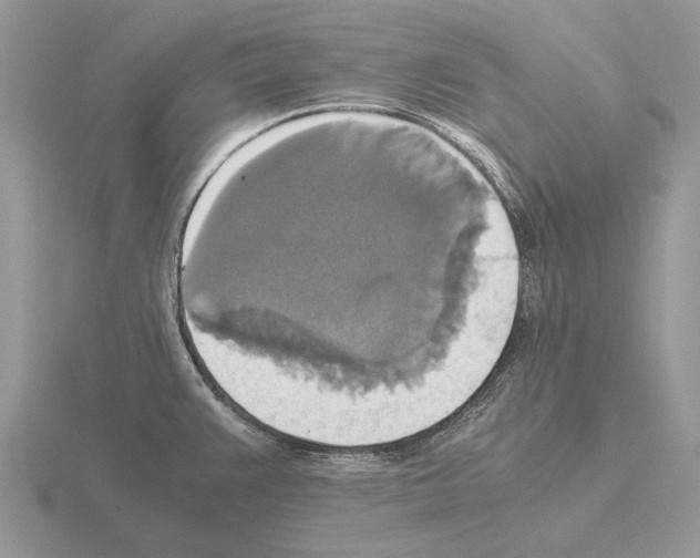 X0000115391383200912151451