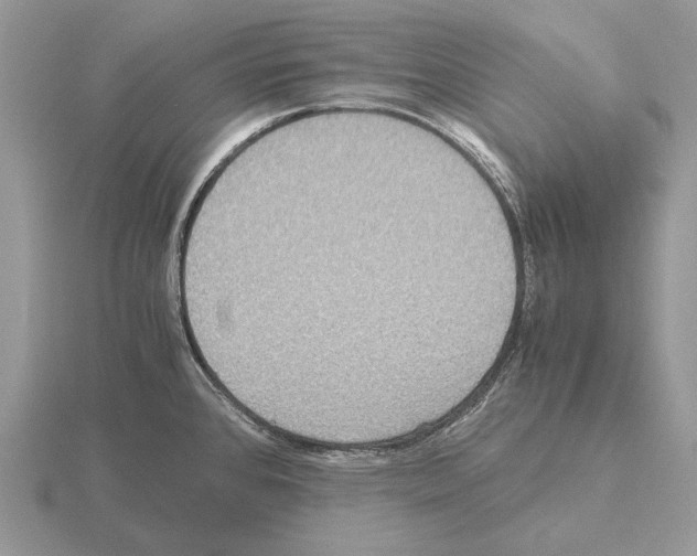 X0000115391384200912151451