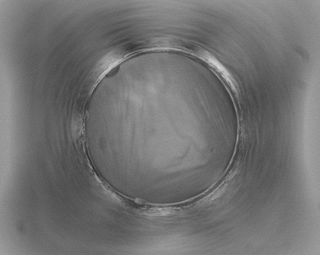 X0000115391385200912151451