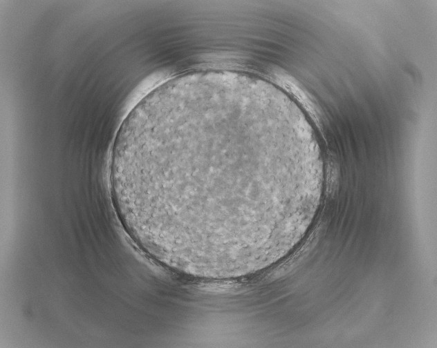 X0000115391386200912151451