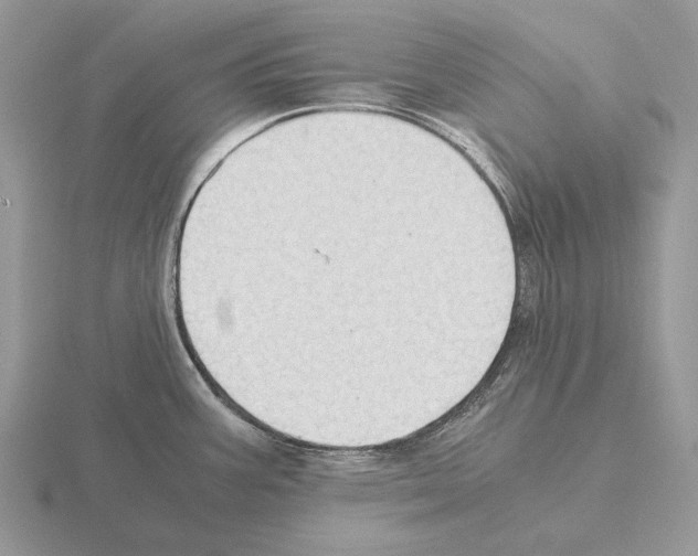 X0000115391387200912151451