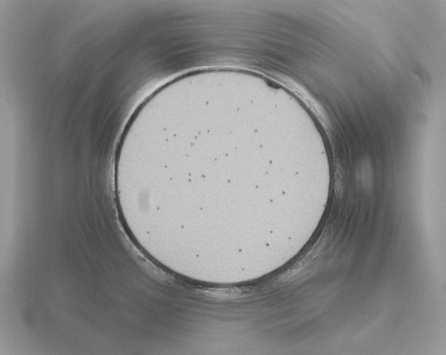 X0000115391388200912151451