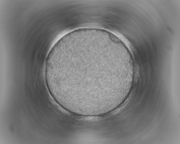 X0000115391390200912151451