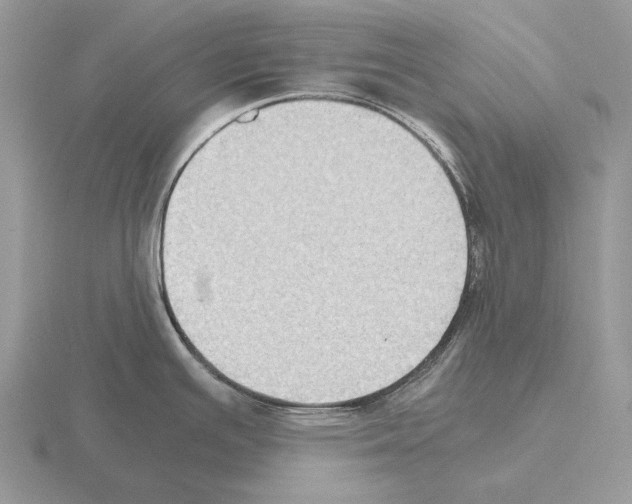 X0000115391391200912151451