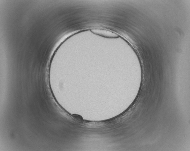 X0000115391392200912151451